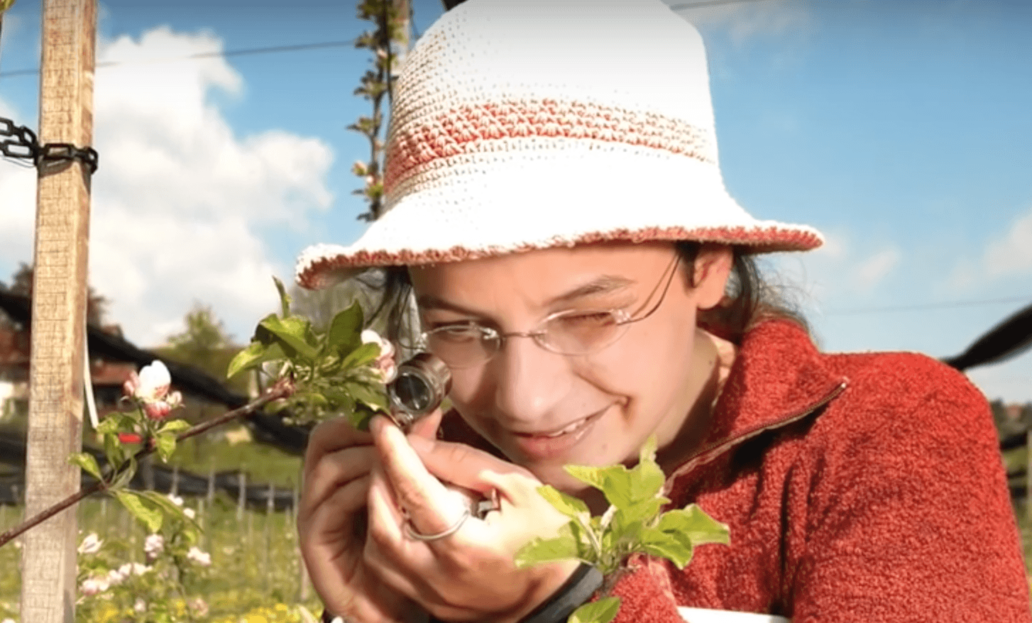 Bio Landbau und Spritzmittel