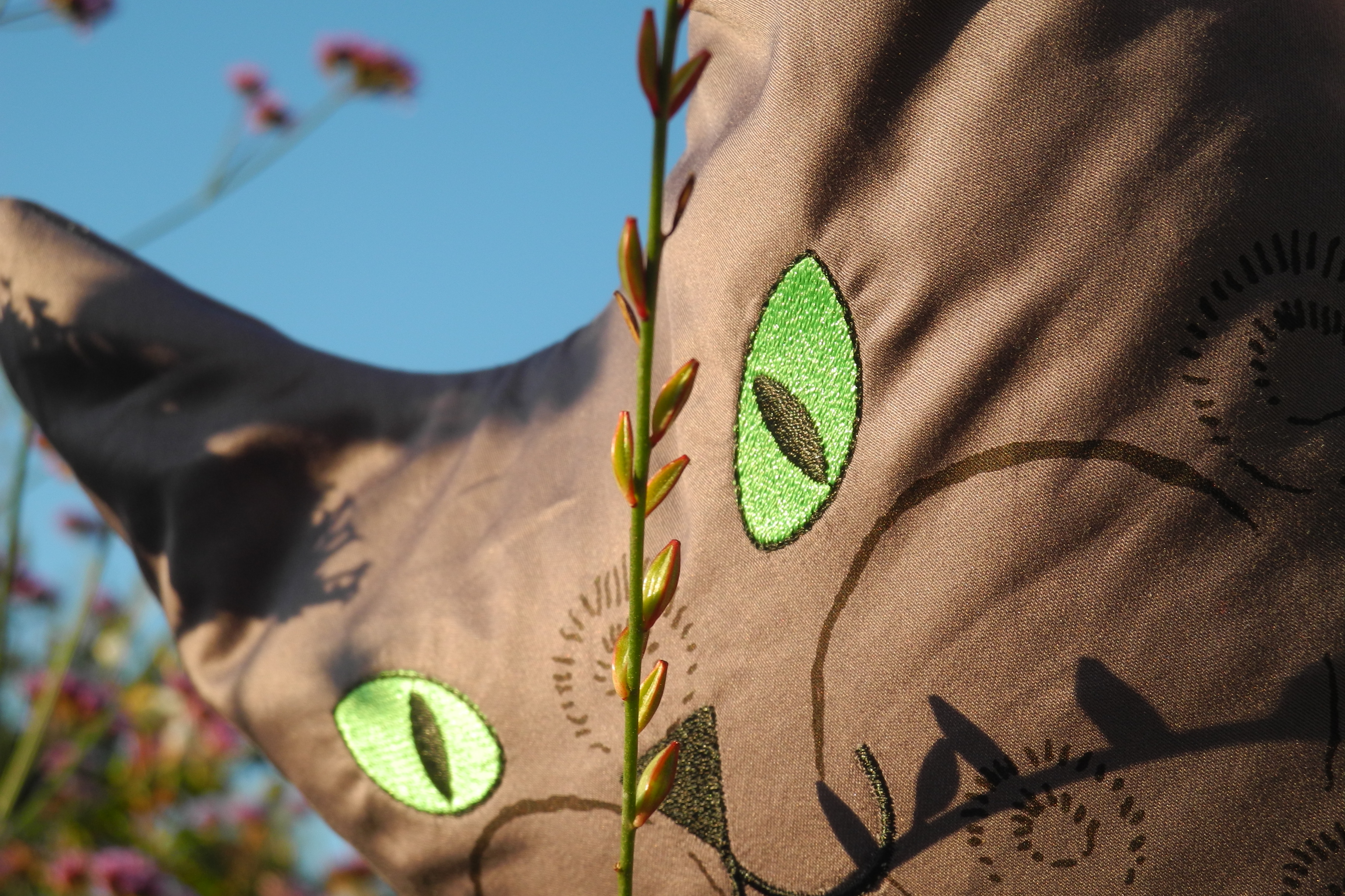 Herbstblumen und Katzen